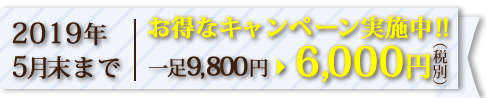 2019年5月末まで お得なキャンペーン実施中! 一足9,800円→6,000円(税別)