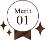 Merit 01