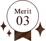 Merit 03