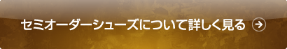 セミオーダーシュaーズについて詳しく見る