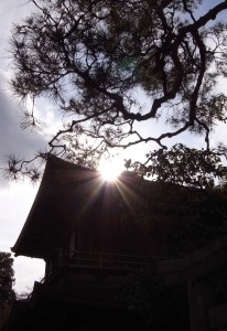 美しいもの | その他