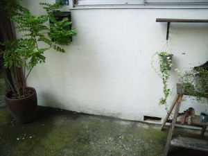 事件です！ | その他