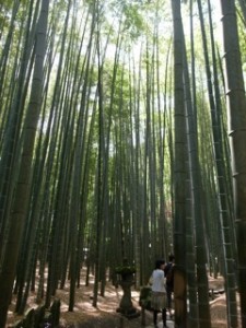 竹林 | その他