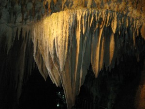 沖縄旅行③ | その他