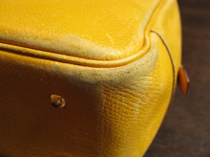IMG_0101