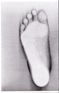 一枚の写真 | その他