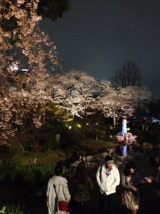 花見 | その他