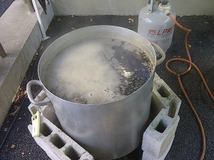 どんぐり染め | その他