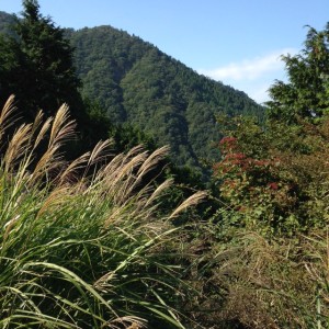 10月の靴磨き教室 | その他
