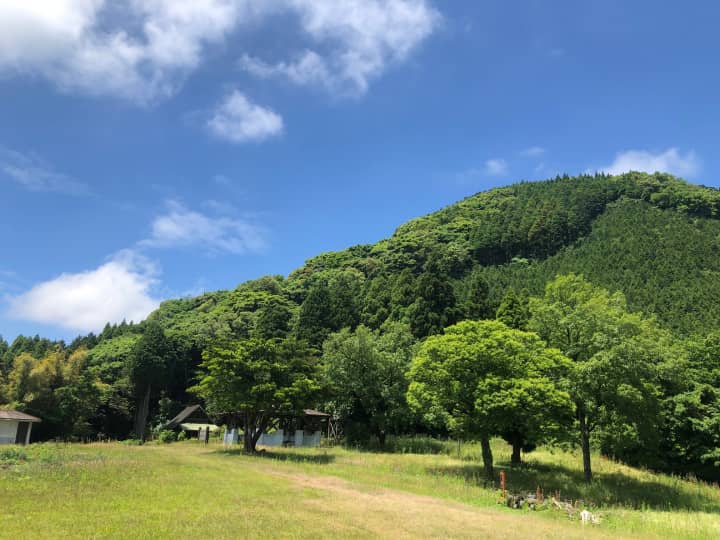 夏季休暇のお知らせ | お知らせ