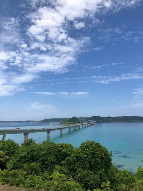 夏季休暇のお知らせ | お知らせ
